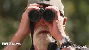 Longest serving volunteer helps boost bird numbers