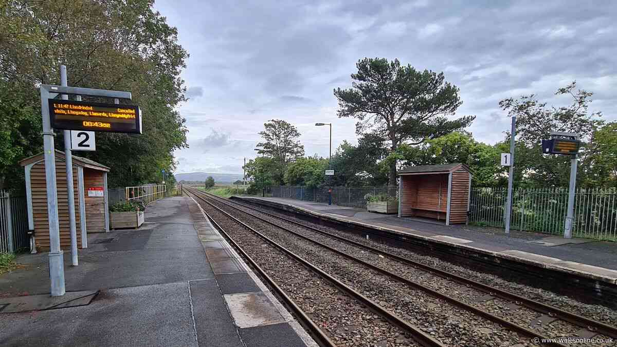 'Wales needs more railway stations, they do enormous good to society'