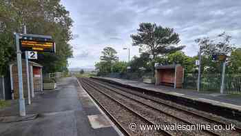 'Wales needs more railway stations, they do enormous good to society'