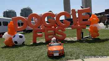 Toronto dogs, owners come out to play at Doggie Fest in Roundhouse Park