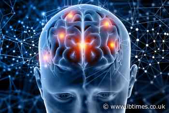 MIT Researchers Map 17 New Language Sites Hidden Across the Human Brain