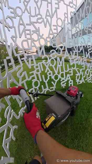 POV: Your job at MANGO smells like freshly cut grass 🌱  #MANGOHeadquarters #POV #Gardener