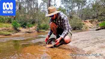 Gold hunters fear World Heritage bid could undermine prospecting