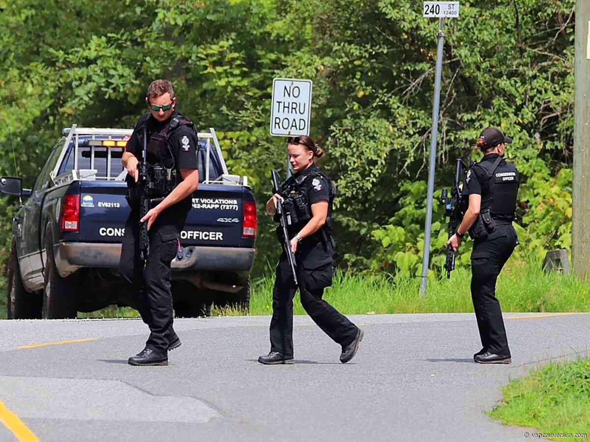 Air ambulance leaves scene of suspected bear attack in Maple Ridge