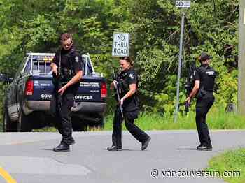 Air ambulance leaves scene of suspected bear attack in Maple Ridge