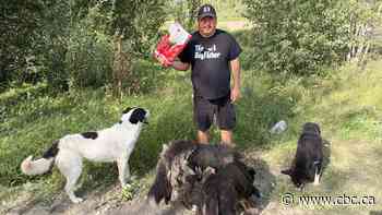 Wasagamack man distributes dog food to hungry pups in northern Manitoba First Nation