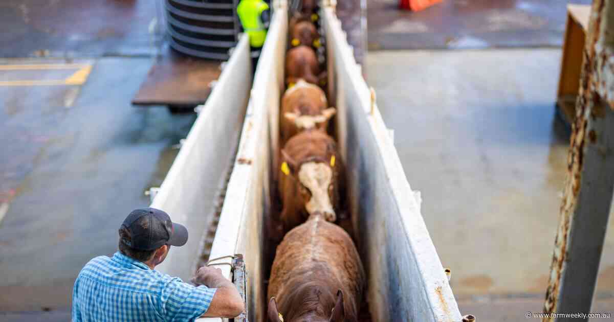 Re-heated petition against live export to hit Canberra in September