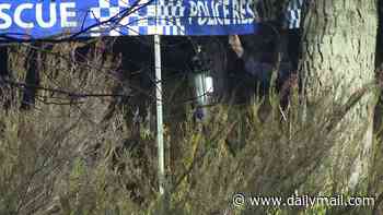 Horrific new details emerge after body in a suitcase is found in bushland near a rural road in NSW