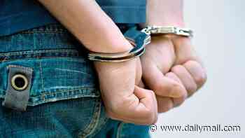 The Morning Poll: Is prison still an effective deterrent against crime?