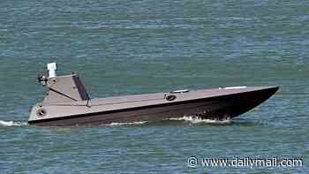 Spy cameras on Navy drones used by Britain's elite special forces 'secretly sent data to China'