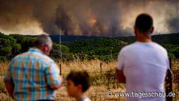 Erneut Waldbrände in Spanien und Frankreich ausgebrochen