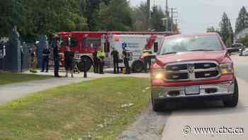 3-year-old girl hospitalized after Maple Ridge, B.C., bear attack