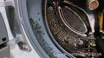 Mould will disappear from washing machine seals ‘for good’ in 10 minutes with simple item