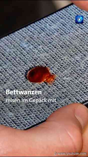 Bettwanzen in Berghütten #tagesschau #nachrichten #bettwanzen #berghütte #wandern #berge