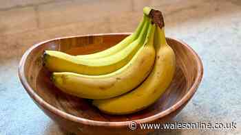 Bananas won't turn brown if stored with 1 kitchen item that keeps them fresher for longer