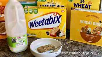 I tried wheat biscuits from Aldi, Tesco and 6 more — the best was £2 cheaper than Weetabix