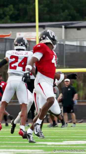 Tua Tagovailoa rolls it deep to Olamide Zaccheaus! #nfl #highlights #falcons #atlanta