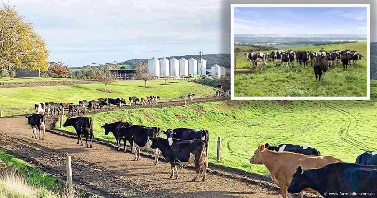 Blue ribbon Otway Milk and Gippsland dairy offer scale versus entry-level