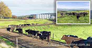 Blue ribbon Otway Milk and Gippsland dairy offer scale versus entry-level