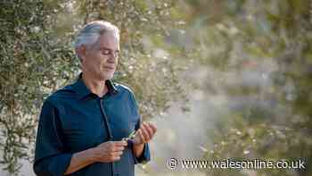 Andrea Bocelli to headline inaugural music festival in Cardiff
