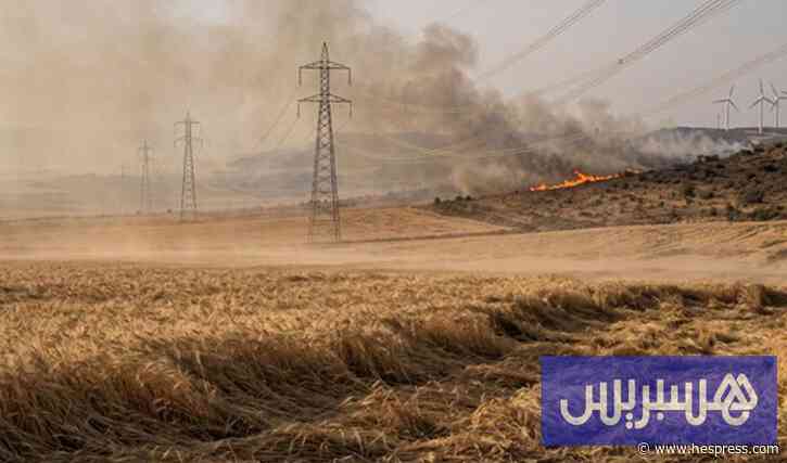 تحولات متسارعة في رياح الأرض .. علماء عرب يدقون ناقوس الخطر المناخي