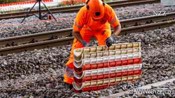 Der Unterhalt des Schienennetzes wird immer teurer. Jetzt fordert der Direktor des ÖV-Verbands mehr Geld