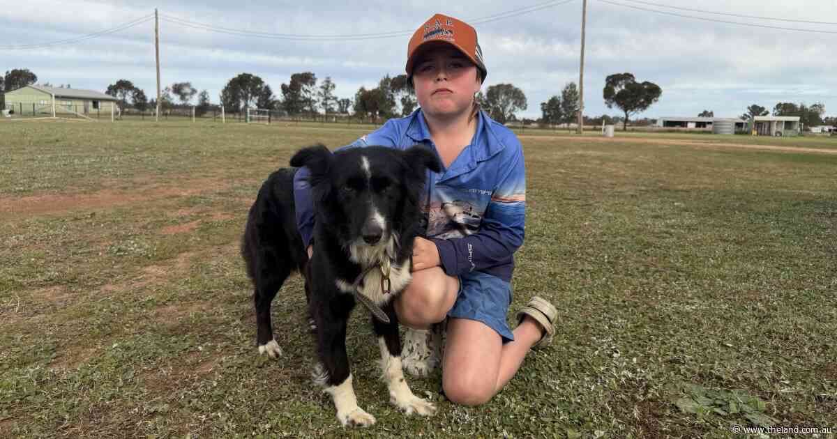 Family affair: the country kid, his dog and the dream of a perfect run