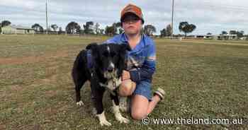 Family affair: the country kid, his dog and the dream of a perfect run