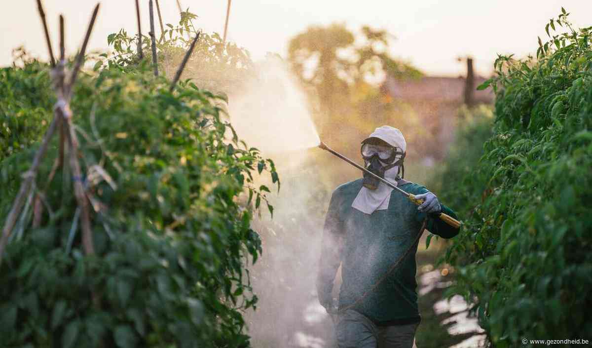 Pesticiden op het werk verhogen het risico op ALS
