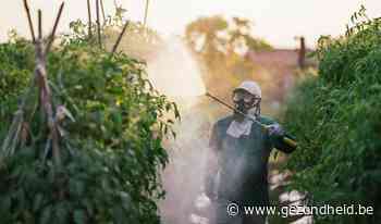 Pesticiden op het werk verhogen het risico op ALS