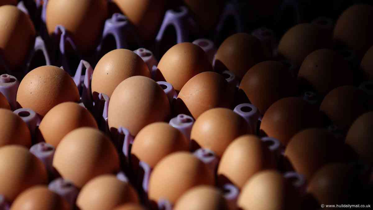 Approval for free range egg unit with capacity for 32,000 hens - latest planning developments in Hull and East Riding