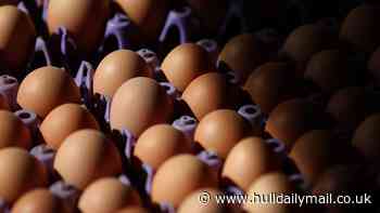 Approval for free range egg unit with capacity for 32,000 hens - latest planning developments in Hull and East Riding