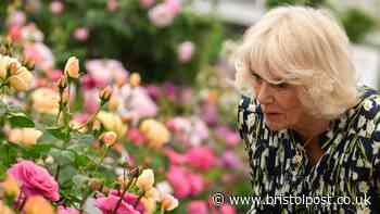 Bristol to host first ever urban RHS flower show