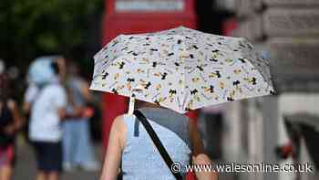 Health alert may be extended as Met Office eyes rare red warning