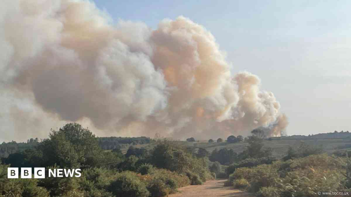 Vehicle fire spreads to heathland as crews fight blaze