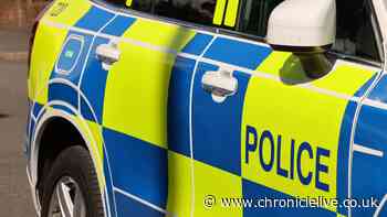 Missing Northumberland man believed to have travelled to Kielder Forest in camper van found safe