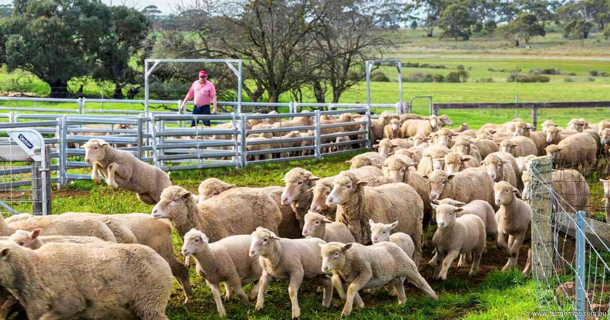 Shannon family's reasons for selling big Mid North portfolio after 150 years