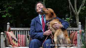 Monty Don urges gardeners to do key job before going on holiday