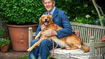 Monty Don's summer gardening advice with one task before going on holiday