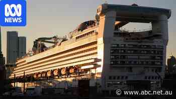 Senator blasts 'floating sweatshop' cruise ships