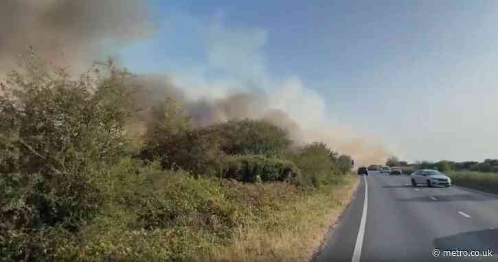 Drivers told to flee cars ‘if you want to stay alive’ after New Forest fire spreads