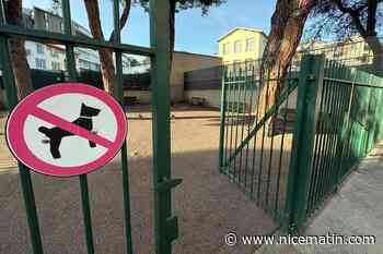 Où en est-on du parc à chiens réclamé par une association de défense dans un quartier niçois ?