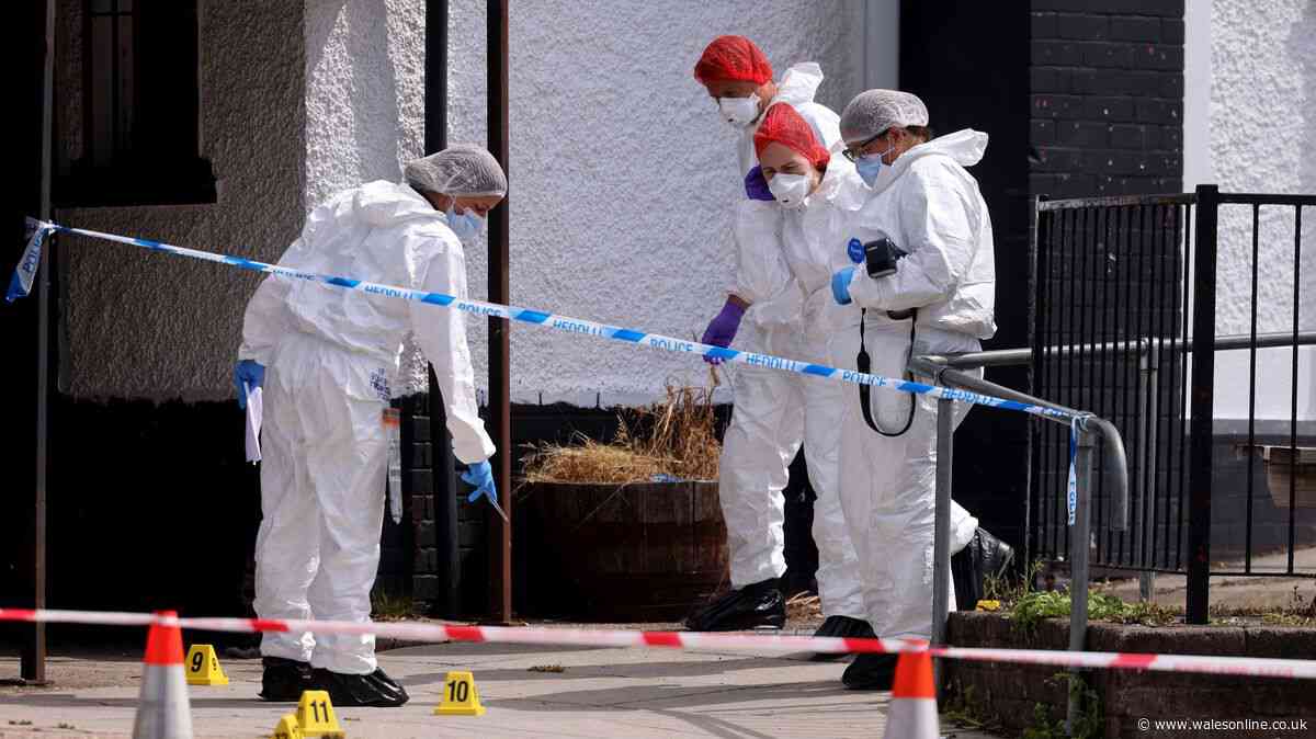 Murder investigation update as police issue urgent appeal