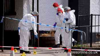 Murder investigation update as police issue urgent appeal