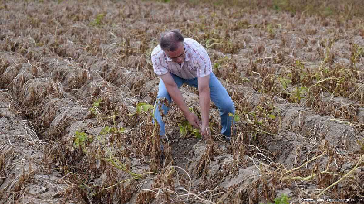 Bauern fordern mehr und schnellere Hilfen im Klimawandel
