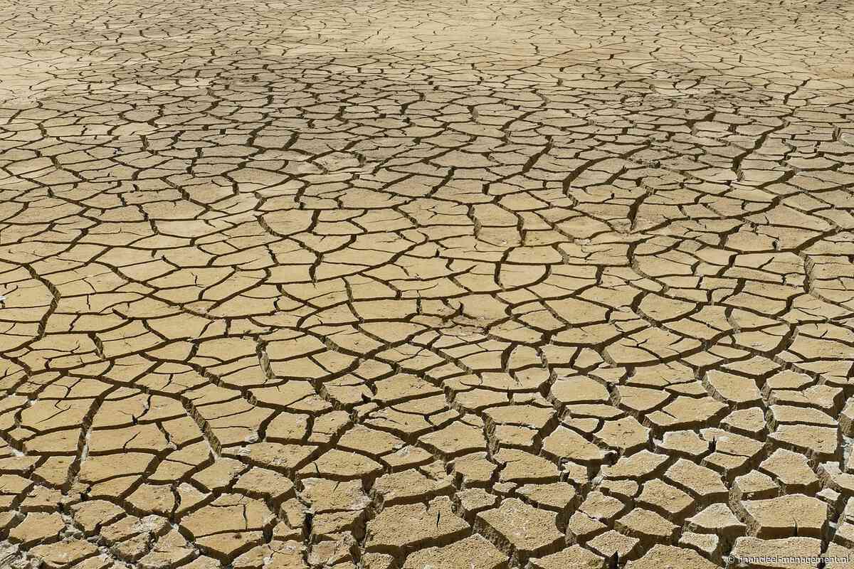 ‘Hitte en droogte kunnen Europese economische groei wegvagen’