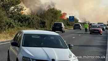 New Forest fire live: Flames rage as A31 drivers told 'leave if you want to live'