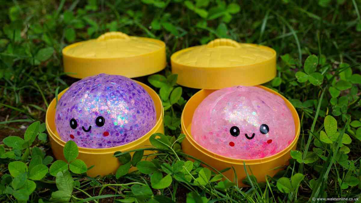 HMV and The Works update on squishies and mini-dumplings - some for £1