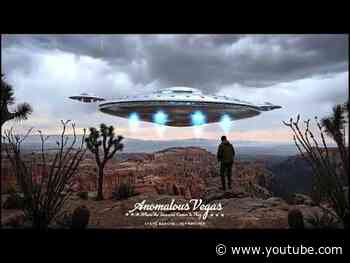The Silent Guardians of the Mojave: What I’ve Witnessed for 12 Years
