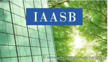 IAASB consulteert versterkingen risicogebaseerde audit-aanpak